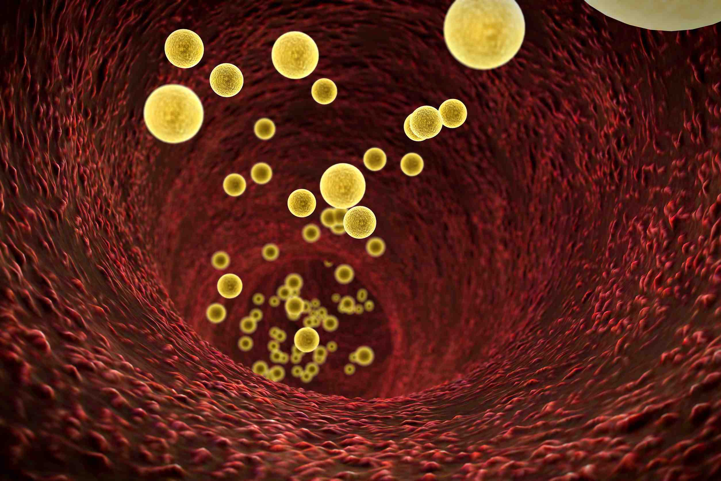 fat cell in the blood