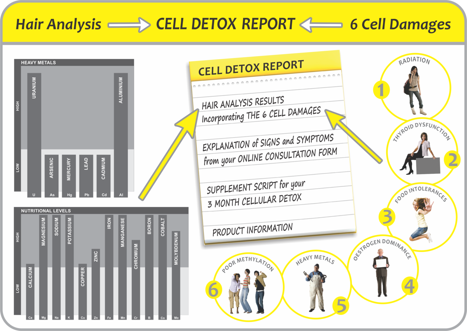 6 Cell Damages - current